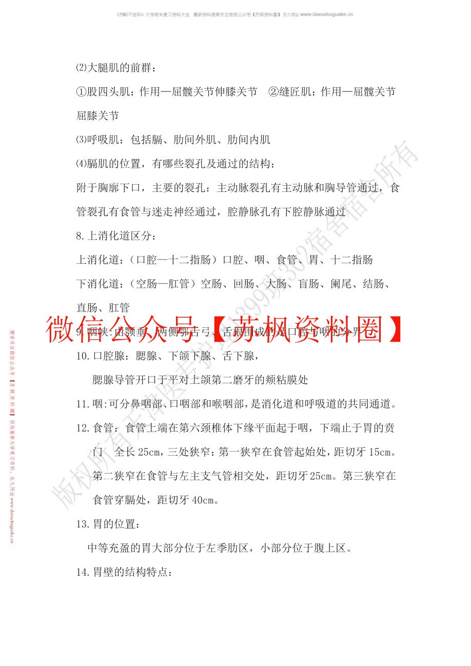 正常人体结构